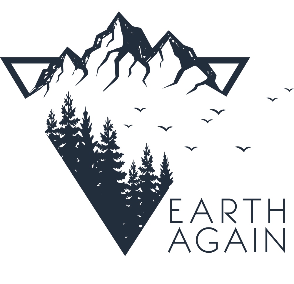 Earth, Again